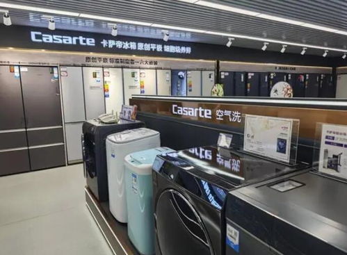 家电产品成年货新宠 大家电与懒人家电引领消费新趋势