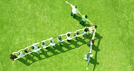 绿叶日用品与家用电器 现代生活的绿色搭档